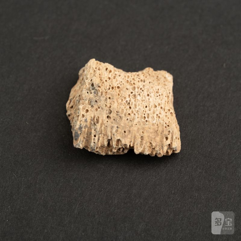    甲骨文片十點 - 图6